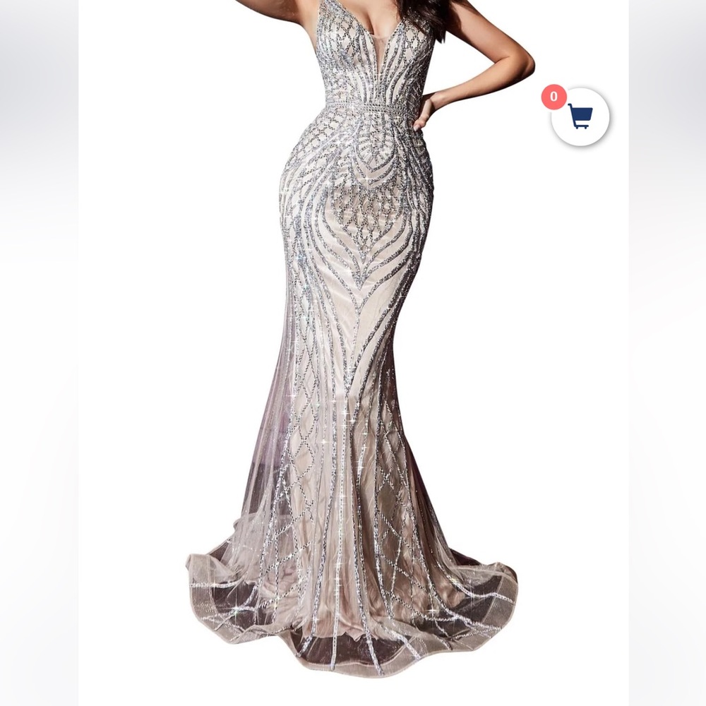 Beautiful Silver nude dress excellent condition. will catch everyone’s eyes